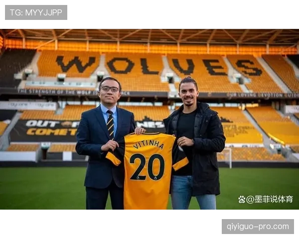 维蒂尼亚能否承担核心角色，存在哪些制约因素